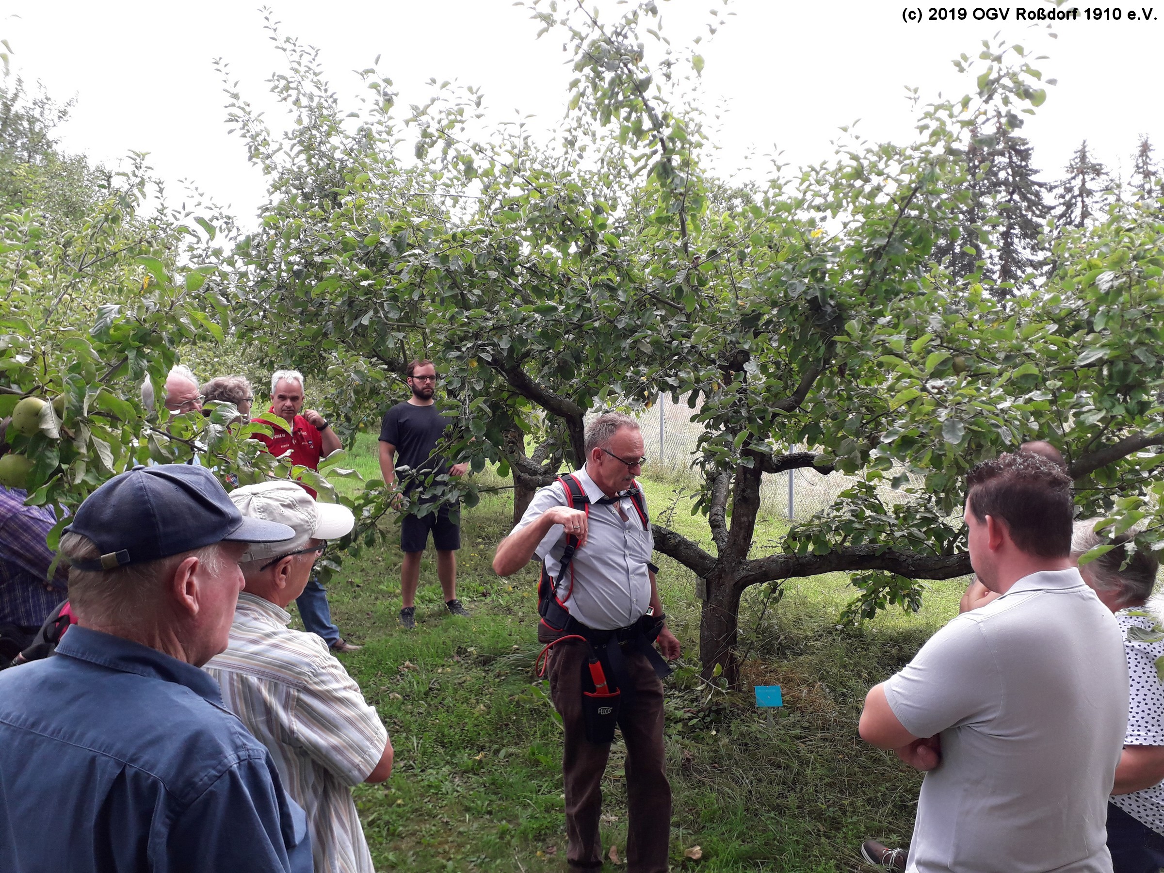 Sommerschnittkurs 2019 des OGV Roßdorf (1)