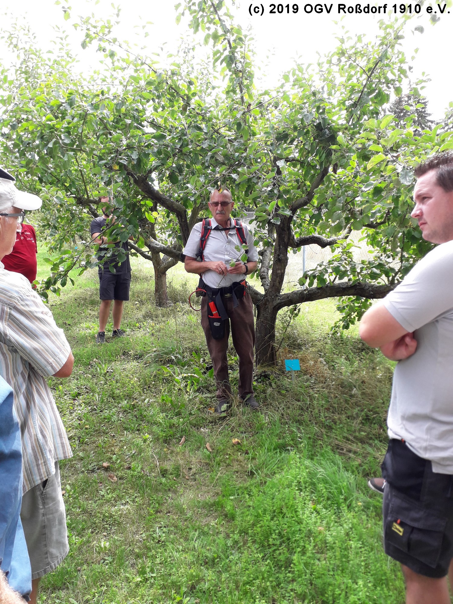 Sommerschnittkurs 2019 des OGV Roßdorf (2)
